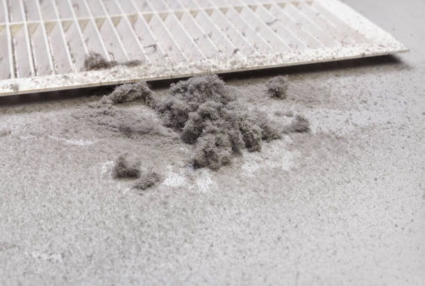 Best Air Duct Cleaning Near Me  in Ivyland, PA