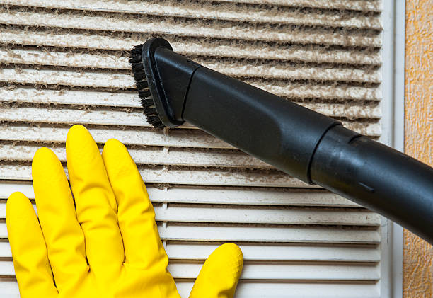 Best Local Air Duct Cleaning Services  in Ivyland, PA